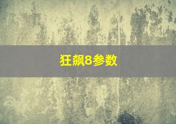 狂飙8参数