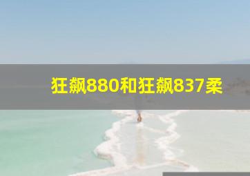 狂飙880和狂飙837柔