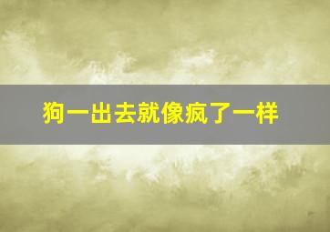 狗一出去就像疯了一样