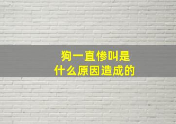 狗一直惨叫是什么原因造成的