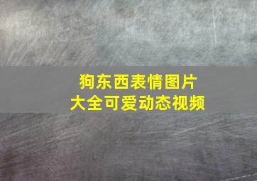 狗东西表情图片大全可爱动态视频