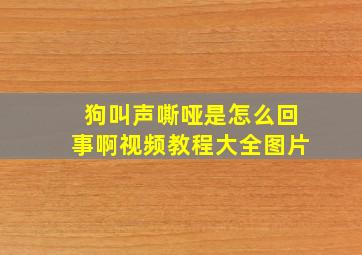 狗叫声嘶哑是怎么回事啊视频教程大全图片