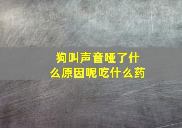 狗叫声音哑了什么原因呢吃什么药