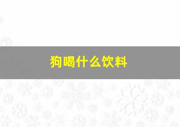 狗喝什么饮料