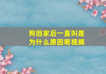 狗回家后一直叫是为什么原因呢视频