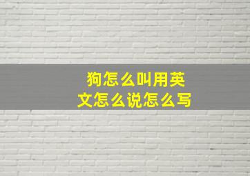 狗怎么叫用英文怎么说怎么写