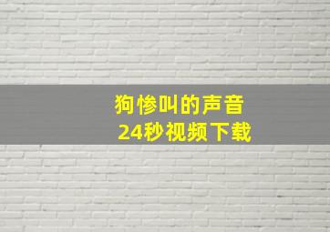 狗惨叫的声音24秒视频下载