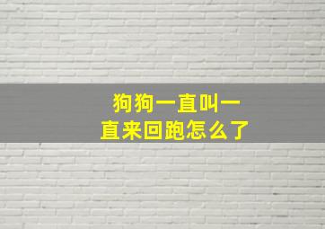 狗狗一直叫一直来回跑怎么了