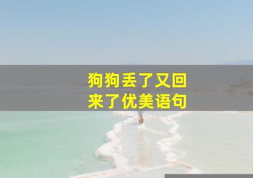 狗狗丢了又回来了优美语句