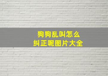 狗狗乱叫怎么纠正呢图片大全