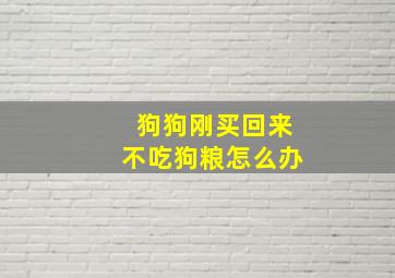 狗狗刚买回来不吃狗粮怎么办