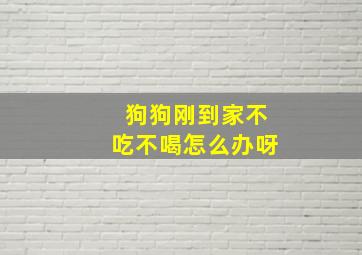 狗狗刚到家不吃不喝怎么办呀