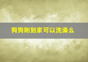 狗狗刚到家可以洗澡么