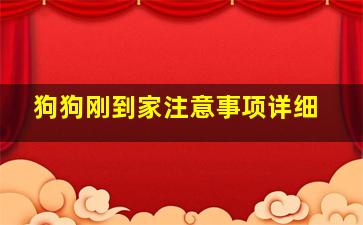 狗狗刚到家注意事项详细