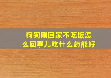 狗狗刚回家不吃饭怎么回事儿吃什么药能好