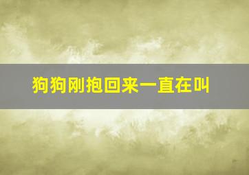 狗狗刚抱回来一直在叫