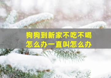 狗狗到新家不吃不喝怎么办一直叫怎么办