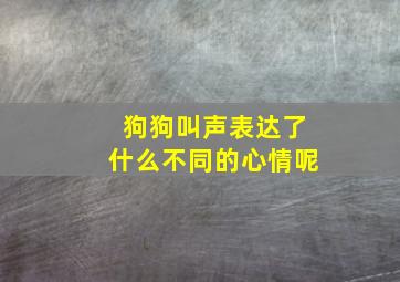 狗狗叫声表达了什么不同的心情呢