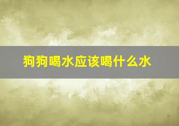 狗狗喝水应该喝什么水