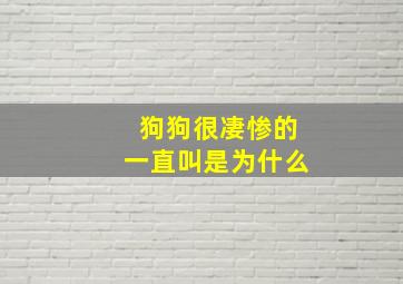 狗狗很凄惨的一直叫是为什么