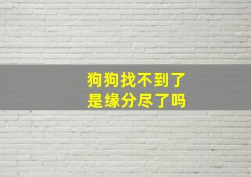 狗狗找不到了 是缘分尽了吗