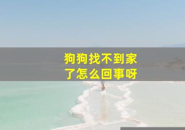 狗狗找不到家了怎么回事呀