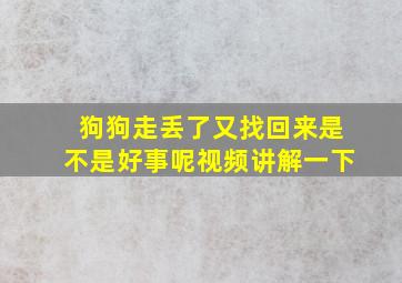 狗狗走丢了又找回来是不是好事呢视频讲解一下