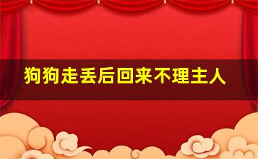 狗狗走丢后回来不理主人