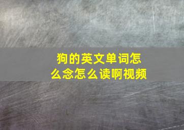 狗的英文单词怎么念怎么读啊视频