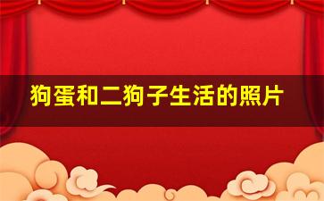 狗蛋和二狗子生活的照片