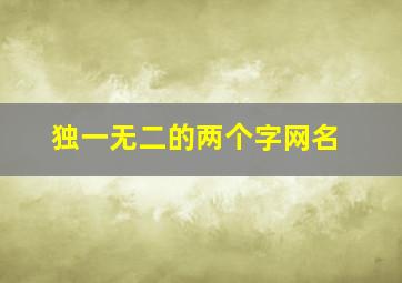 独一无二的两个字网名