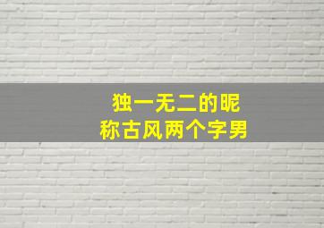 独一无二的昵称古风两个字男