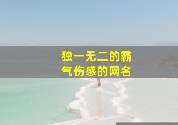 独一无二的霸气伤感的网名