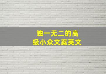 独一无二的高级小众文案英文