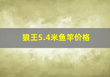 狼王5.4米鱼竿价格