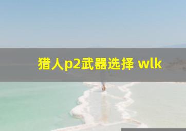 猎人p2武器选择 wlk