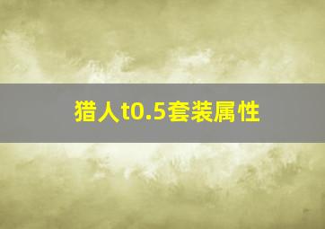 猎人t0.5套装属性