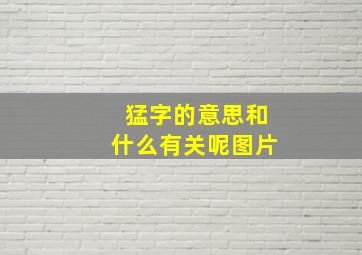 猛字的意思和什么有关呢图片