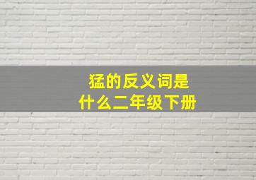 猛的反义词是什么二年级下册