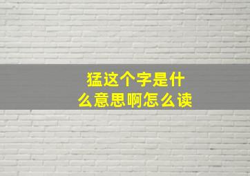 猛这个字是什么意思啊怎么读