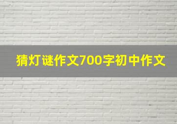 猜灯谜作文700字初中作文