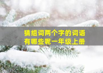 猜组词两个字的词语有哪些呢一年级上册