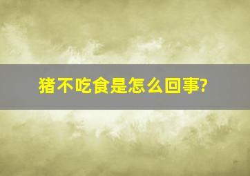 猪不吃食是怎么回事?