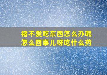 猪不爱吃东西怎么办呢怎么回事儿呀吃什么药