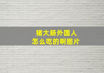 猪大肠外国人怎么吃的啊图片