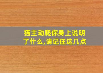 猫主动爬你身上说明了什么,请记住这几点