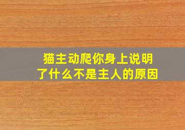 猫主动爬你身上说明了什么不是主人的原因