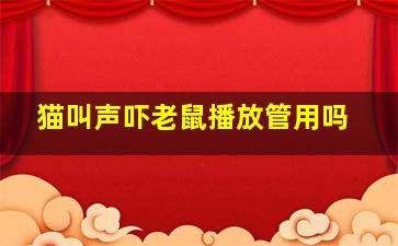 猫叫声吓老鼠播放管用吗