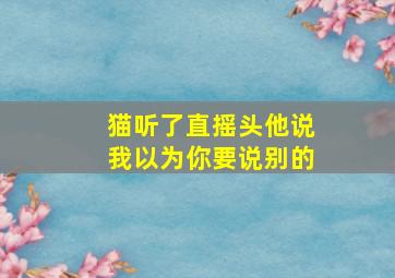 猫听了直摇头他说我以为你要说别的