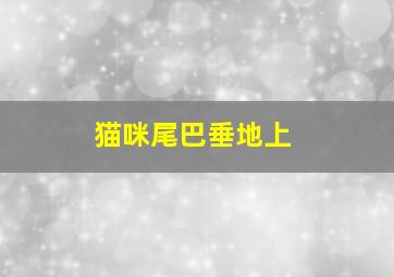 猫咪尾巴垂地上